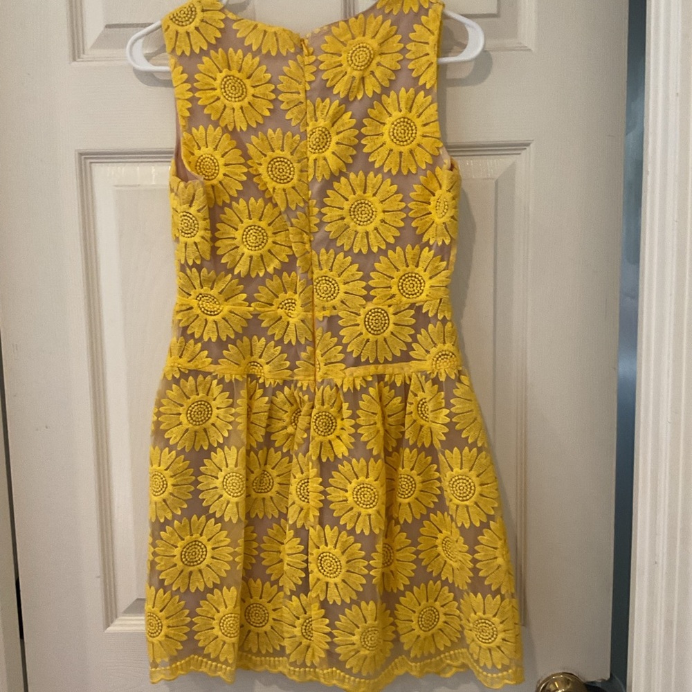 Cutest daisy dress, size 2